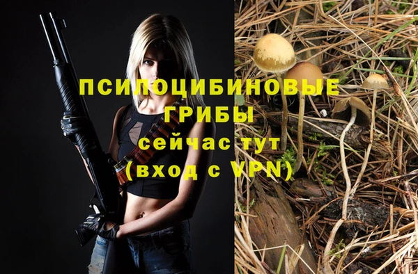 прущий лед Богородицк
