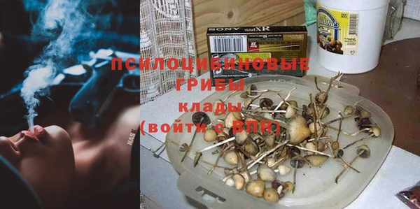 экстази Богородск