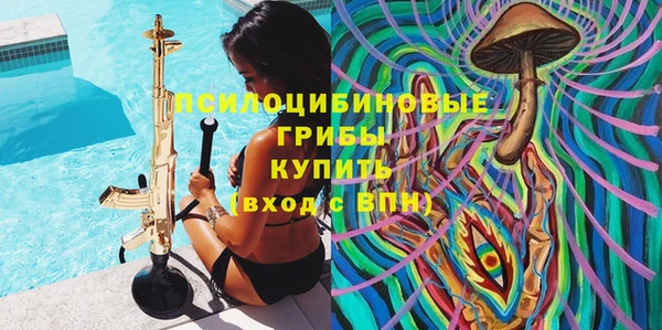 МДПВ Богданович